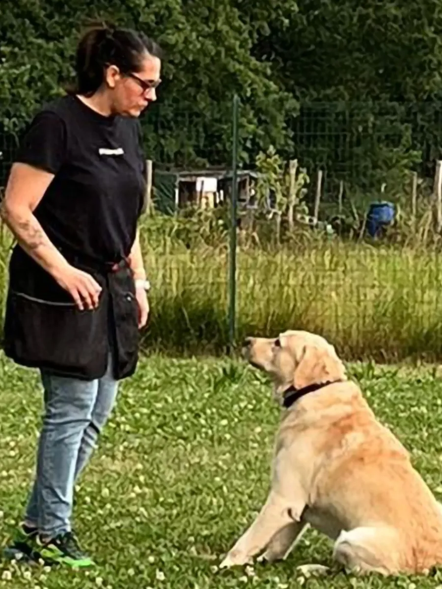 Dog Is Love Attività Obbedienza Avanzata